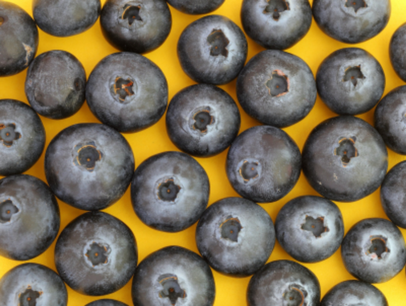 Berry Brilliance: The Top 10 Proven Health Miracles of Blueberries